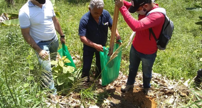 Secretaria Municipal de Agricultura e Emater, realizam identificação de solo para prática de bananicultura
